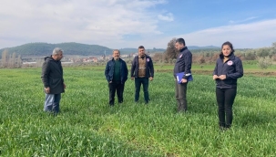 Tarım bakanlığı ekiplerinin saha çalışması