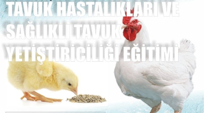 Tavuk üreticilerinin Eğitimi Salihli'de 24,Akhisar'da 25 martta