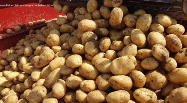 26 ilde patates kanseri karantina tedbirleri uygulanıyor