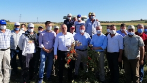 Artan zamlar karşısında çiftçi üretemez hale geldi