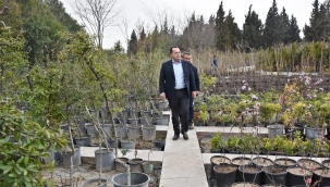 Başkan Dutlulu belediye fidanlığındaki çalışmalar denetledi