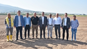 Belediye arazilerine bu yıl pamuk ekti