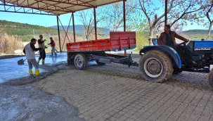 Belediyeden sundurma ve çok amaçlı salon yatırımı