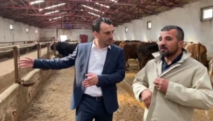 Besicilerin isyanı "Hiç destek vermeseler daha iyi" 