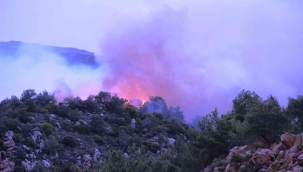 Bodrum'da orman yangını