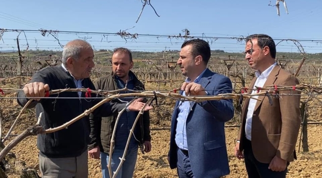 CHP Başevirgen don vuran bağları gezdi