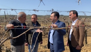 CHP Başevirgen don vuran bağları gezdi