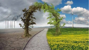 Google,22 nisan Dünya günü doodle