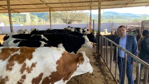 Hayvan üreticilerinin isyanı:'her ay bir hayvanım masrafa gidiyor'