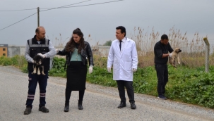 Manisa'da vahşet:17 köpek zehirlenerek öldürüldü