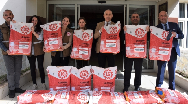 Manisa'da yağlık ayçiçeği yetiştiriciliği yaygınlaşıyor