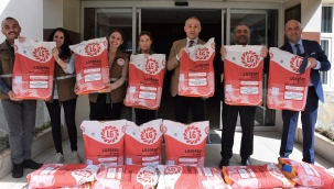 Manisa'da yağlık ayçiçeği yetiştiriciliği yaygınlaşıyor