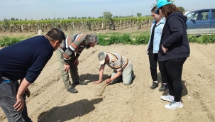Manisa ziraat odası tarım danışmanları iş başında