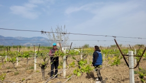Tarım danışmanları iş başında