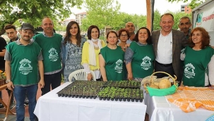 Tohum takas bahar şenliği