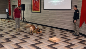 Uyuşturucu çalıştayında köpekli uyuşturucu bulma tatbikatı