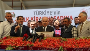 Yılın ilk kirazı 700 TL satıldı