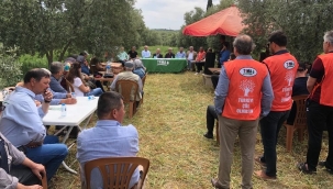 Akhisar'da tarla günü