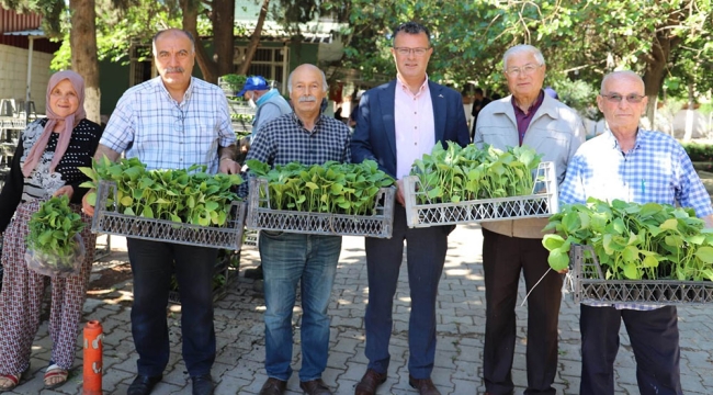 Alaşehir belediyesinden üreticilere fide desteği