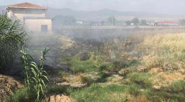 Alaşhir'de buğday ve üzüm bağında yangın