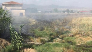 Alaşhir'de buğday ve üzüm bağında yangın
