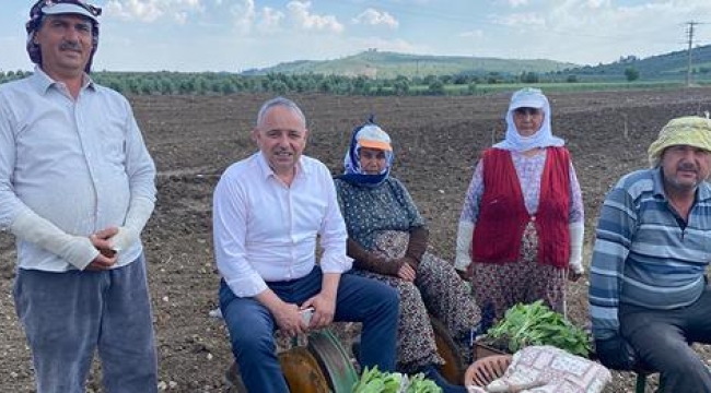 CHP'li Bakırlıoğlu ,tütüncüleri tarlada ziyaret etti