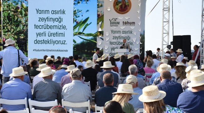 Delice zeytin aşılama projesi tanıtıldı