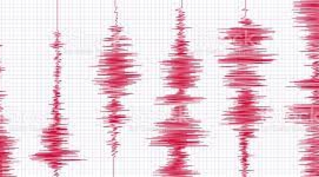 Ege denizinde 4.5 büyüklüğünde deprem