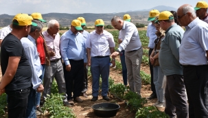 İlk uygulama Kula'da yapıldı