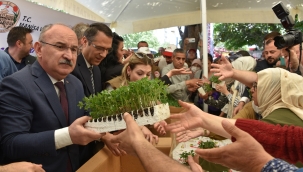 Kadınlara 50 bin fide dağıtıldı