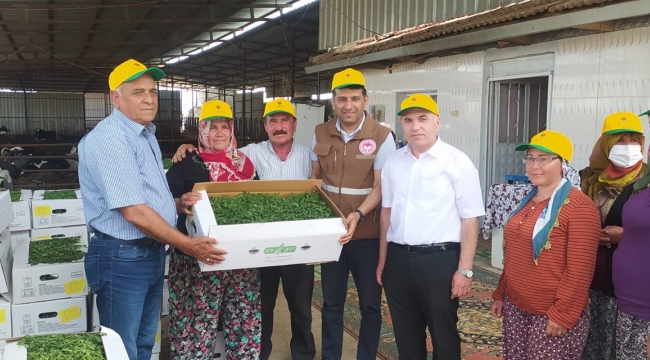 Kula'da fide dağıtımı