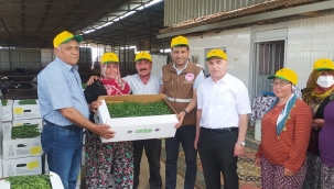 Kula'da fide dağıtımı