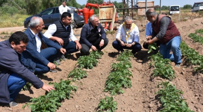 Müdür Öztürk patates üreticileriyle buluştu