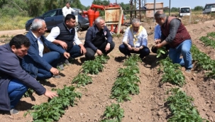 Müdür Öztürk patates üreticileriyle buluştu