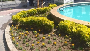 Saruhanlı 'da belediye çalışıyor ilçe güzelleşiyor