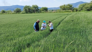 Tarım danışmanları üreticileri bilgilendiriyor