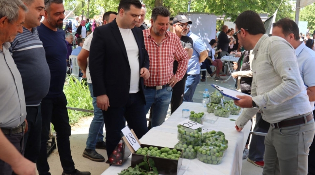 Turgutlu'da en güzel erik yarışması yapıldı