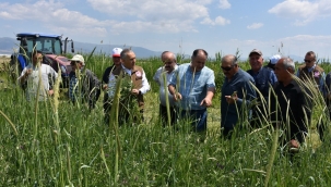 Karışım yem bitkisi tohumu 12 ilçede dağıtıldı