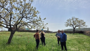 Ziraat odası tarım danışmanları iş başında