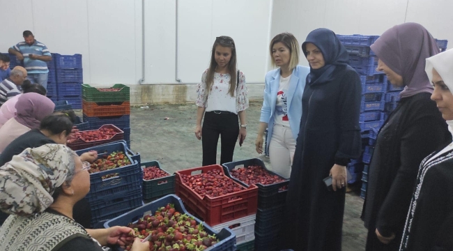 AKP il kadın yöneticileri Köprübaşı'nda