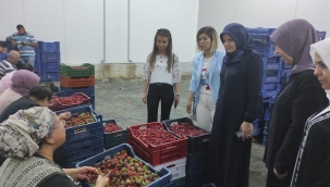 AKP il kadın yöneticileri Köprübaşı'nda