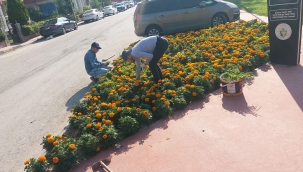 Alaşehir çiçek açtı