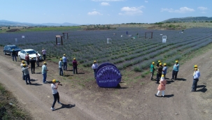 Atıl araziler tarıma kazandırıldı