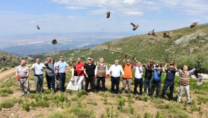Çekirge avcısı keklikler doğaya salındı