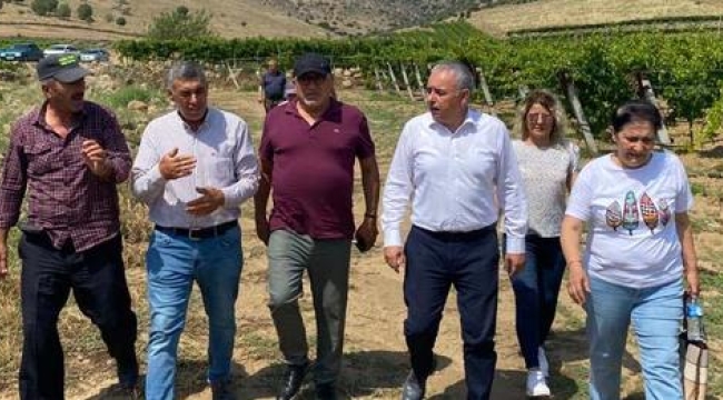 CHP'li Bakırlıoğlu, zarar gören bağları gezdi