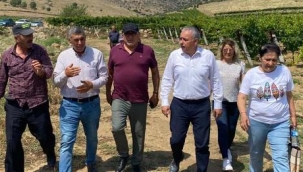 CHP'li Bakırlıoğlu, zarar gören bağları gezdi