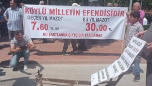 Çiftçi daha ne desin?