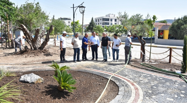 Gölet alanına zeytin bahçesi