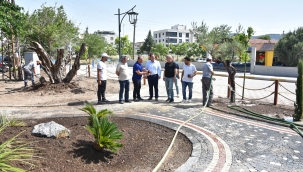 Gölet alanına zeytin bahçesi