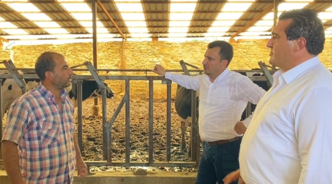 Kula'lı üreticiden "yem ucuz olsun süt 5 lira olsun" önerisi